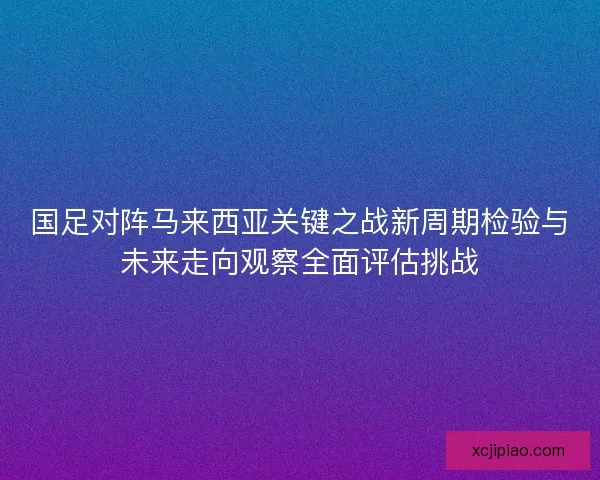 国足对阵马来西亚关键之战新周期检验与未来走向观察全面评估挑战