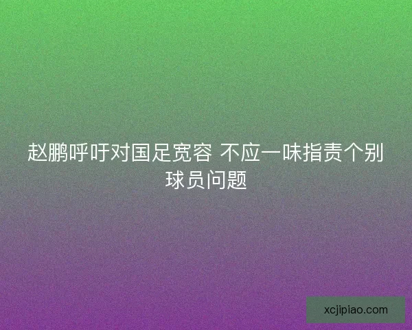 赵鹏呼吁对国足宽容 不应一味指责个别球员问题