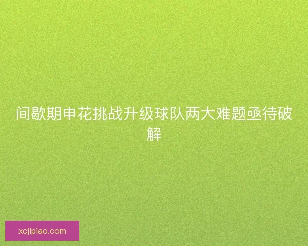 间歇期申花挑战升级球队两大难题亟待破解 间歇期申花挑战升级球队两大难题亟待破解