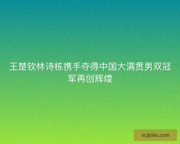 王楚钦林诗栋携手夺得中国大满贯男双冠军再创辉煌