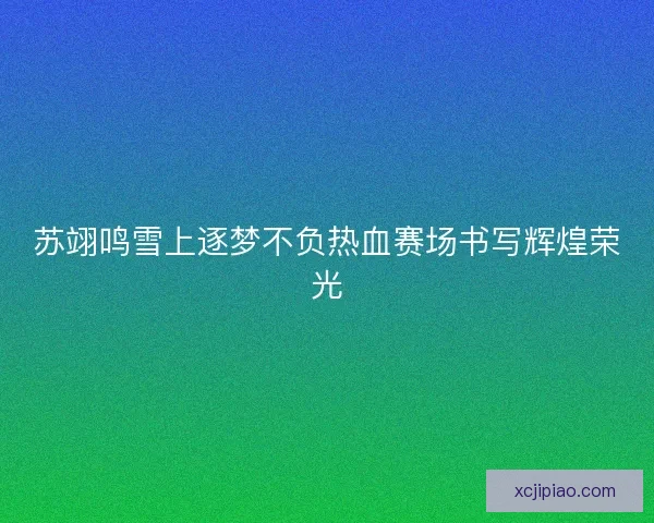 苏翊鸣雪上逐梦不负热血赛场书写辉煌荣光 苏翊鸣雪上逐梦不负热血赛场书写辉煌荣光